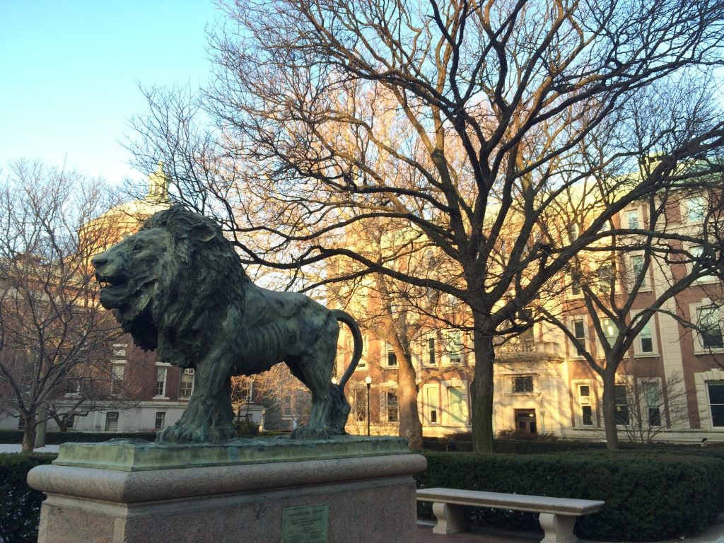 Columbia_lion