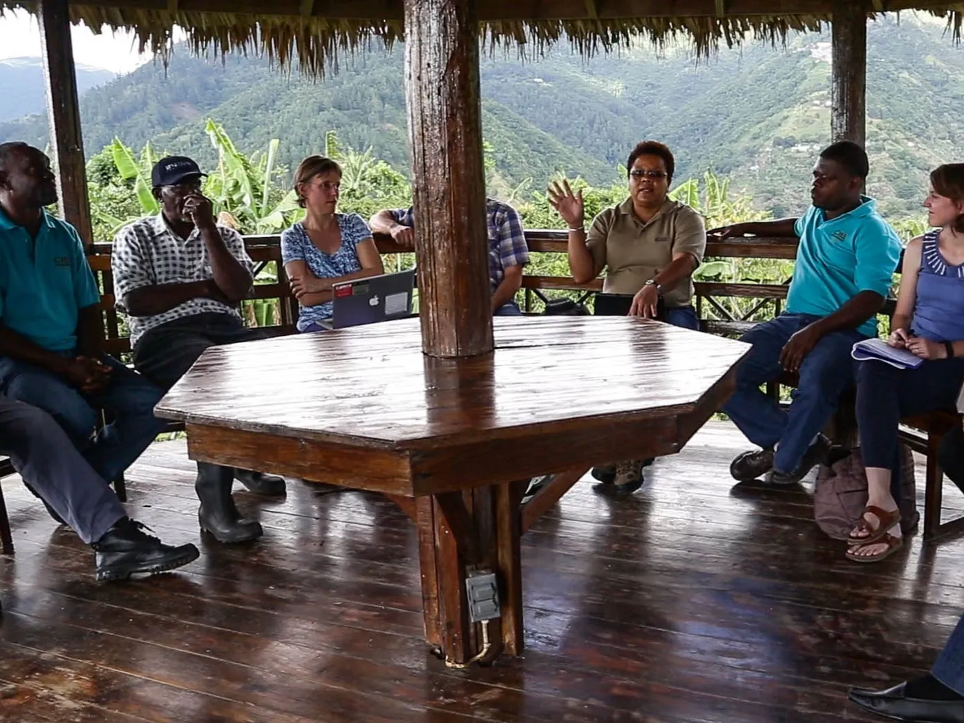 Columbia researchers and collaborators from Jamaica meet with farmers in Jamaica's Blue Mountains. Credit: Malgosia Madajewicz
