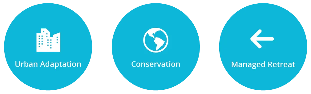 Urban Adaptation, Conservation and Managed Retreat Icons