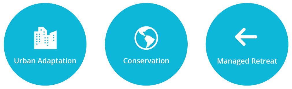 Urban Adaptation, Conservation and Managed Retreat Icons