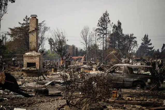 wildfire Coffey park